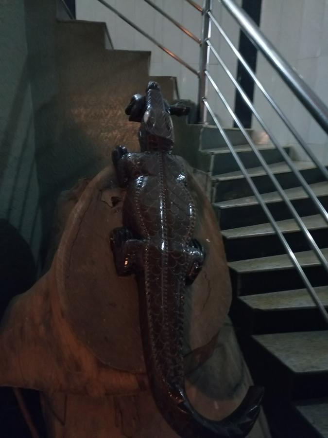 Crocodile Hotels And Restaurant Limited Kaduna Exteriör bild
